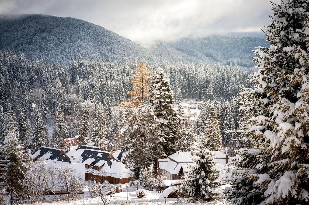Villa Montana บอร์เซค ภายนอก รูปภาพ