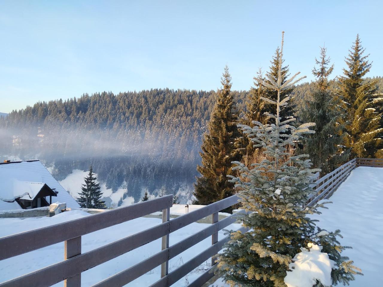 Villa Montana บอร์เซค ภายนอก รูปภาพ
